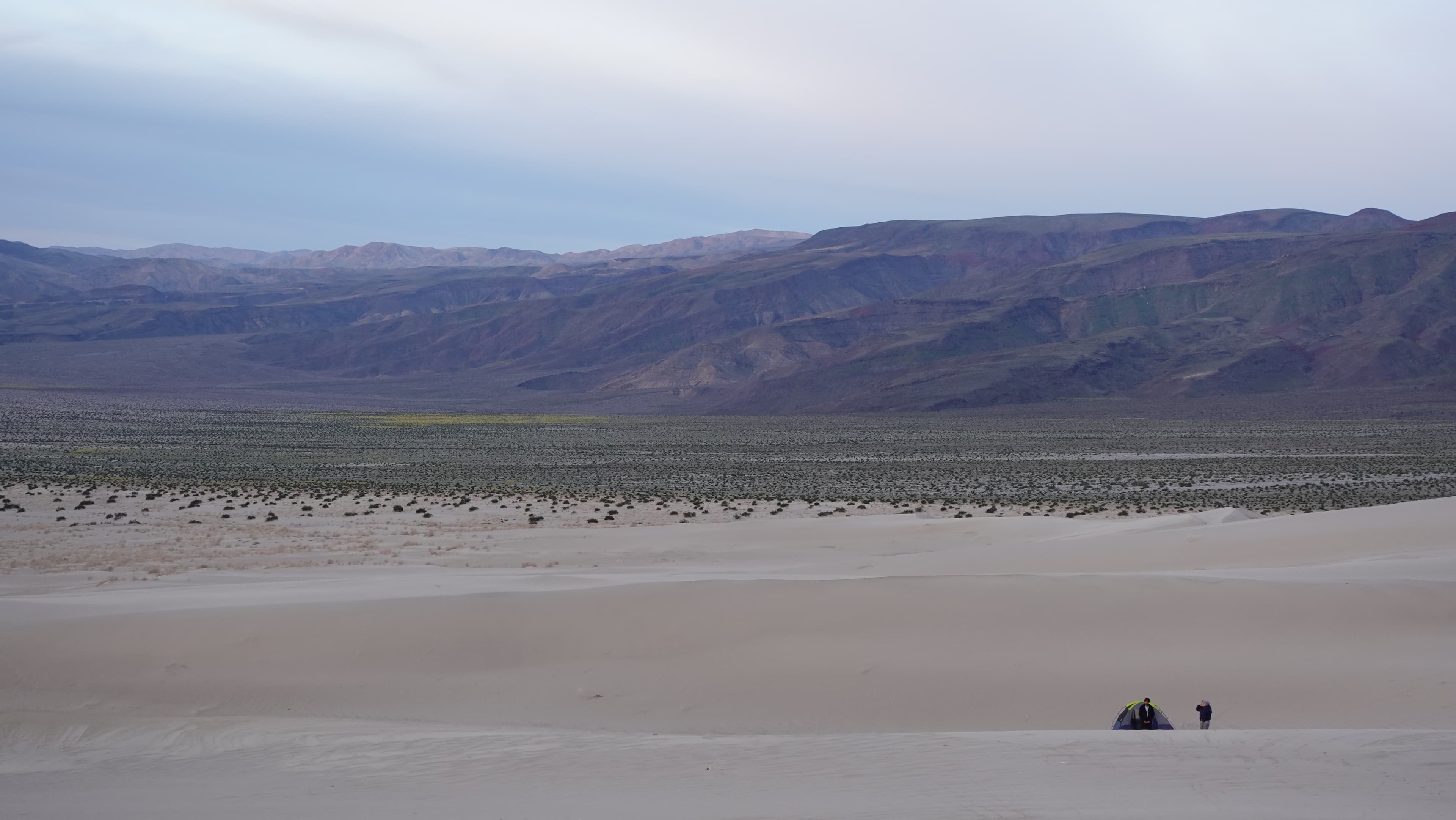 Desert landscape